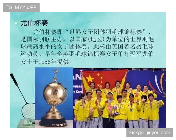 中立球规则：裁判何时判停并如何决定掉球归属